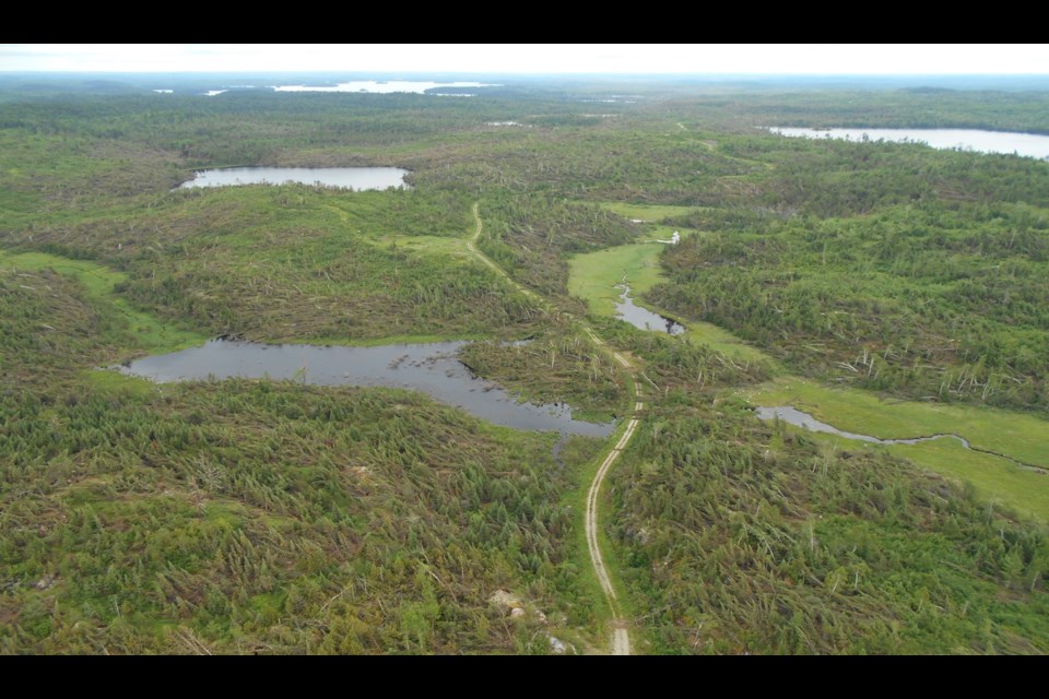 This photo shows part of the more than 2,000 hectares of damaged forest  left by an EF2 tornado near Lawrence Lake and Brooks Lake in Northwestern Ontario in June 2020 (Mike Dwyer/MNRF)