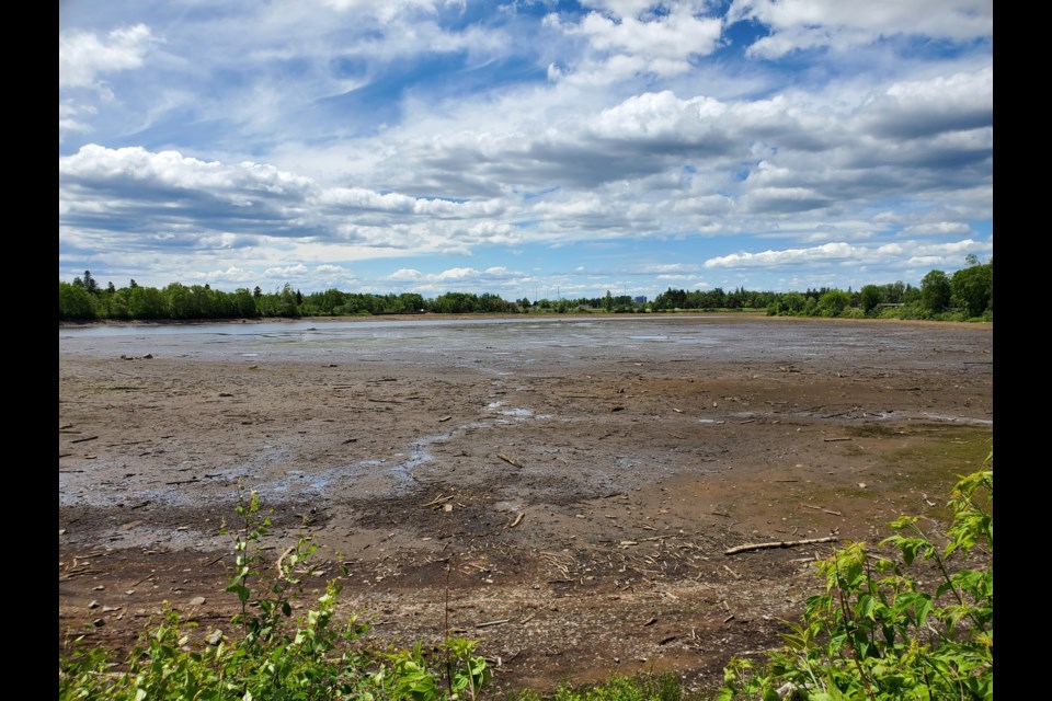 The draining of Boulevard Lake has exposed debris that's accumulated over a period of years (Tbnewswatch photo)