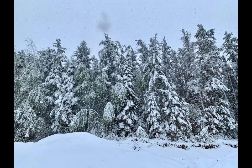 Parts of Northern Ontario woke up to as much as 10 centimetres of snow on Thursday. (Photo courtesy of Rachael Oskam). 