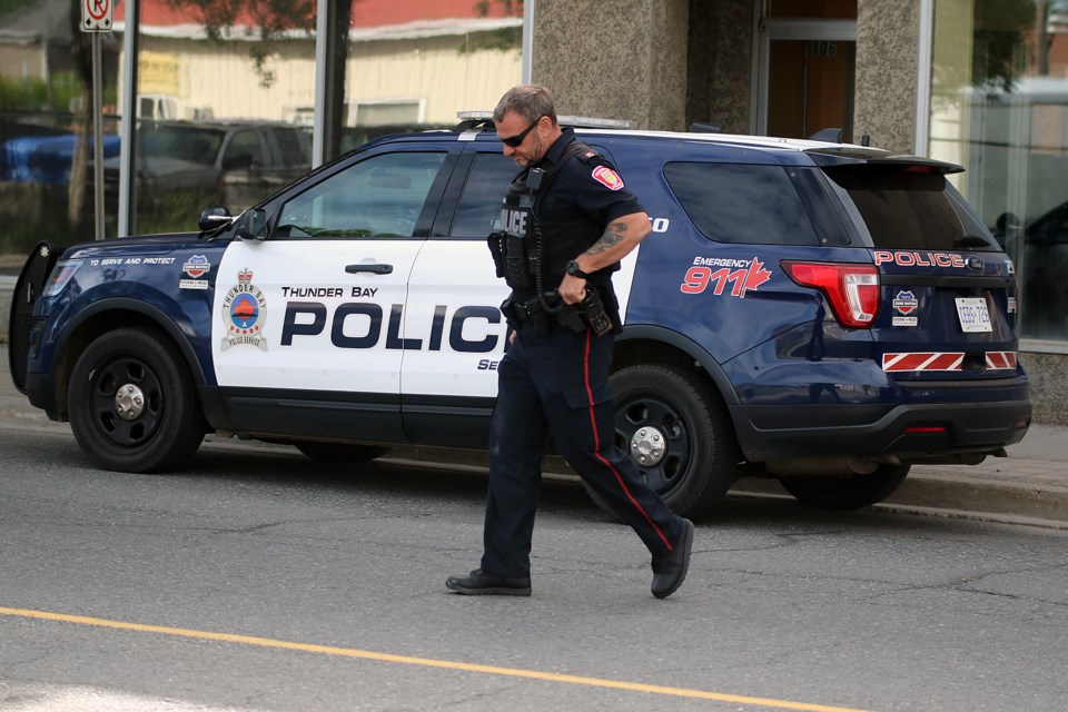 Police Weapons Simpson 2