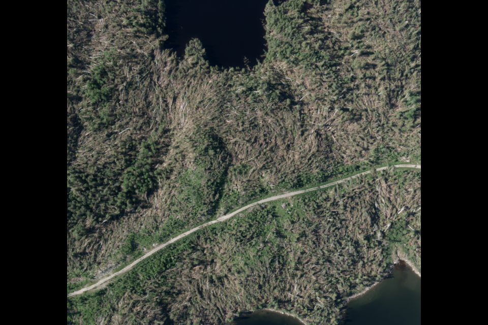 This image taken from a satellite shows a huge swath of downed trees near Brooks Lake, in Northwestern Ontario, after a June 8, 2020 tornado (Northern Tornadoes Project photo)