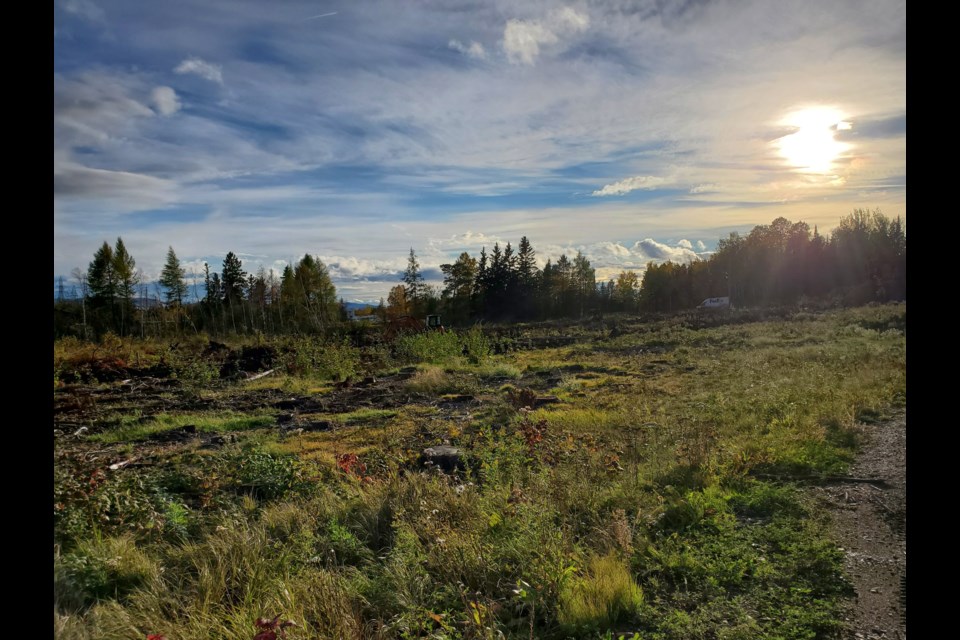 This is the site of the proposed Goal Sports Centre II at 1125 Golf Links Road, near the Iron Range Bus Lines base (Tbnewswatch)