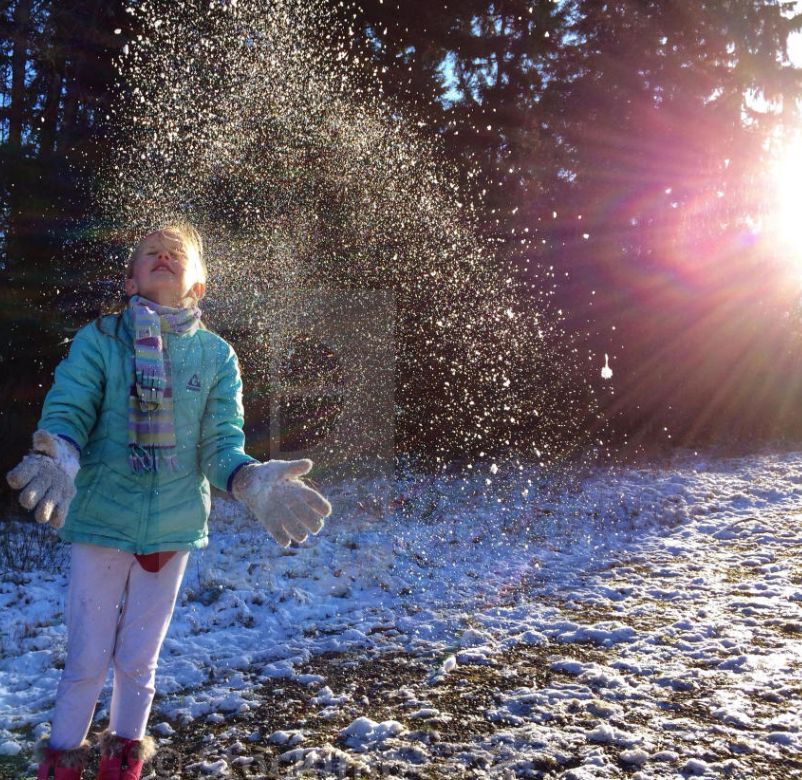 Snowshower