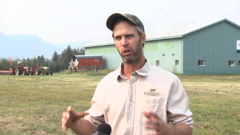 Beef farmer Jason Reid says there's no regrowth in grazing pastures outside Thunder Bay (Alex Flood/TBTV photo)