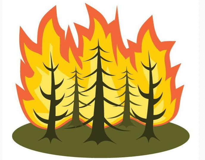 forest fire graphic