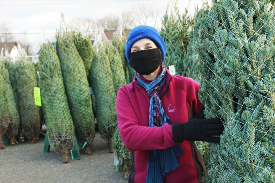 Kiwanis Christmas tree lot