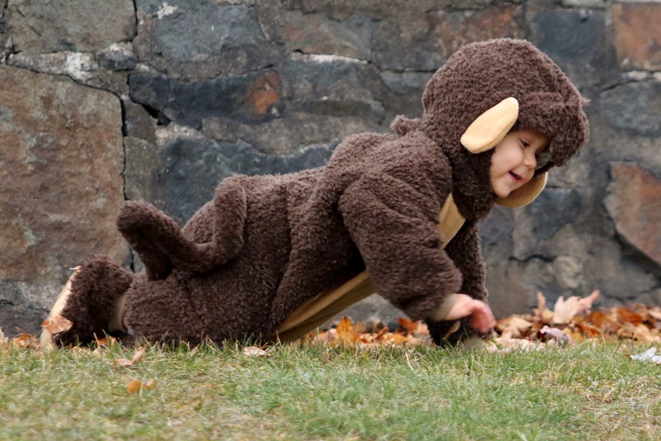 Nolan Halloween 2018