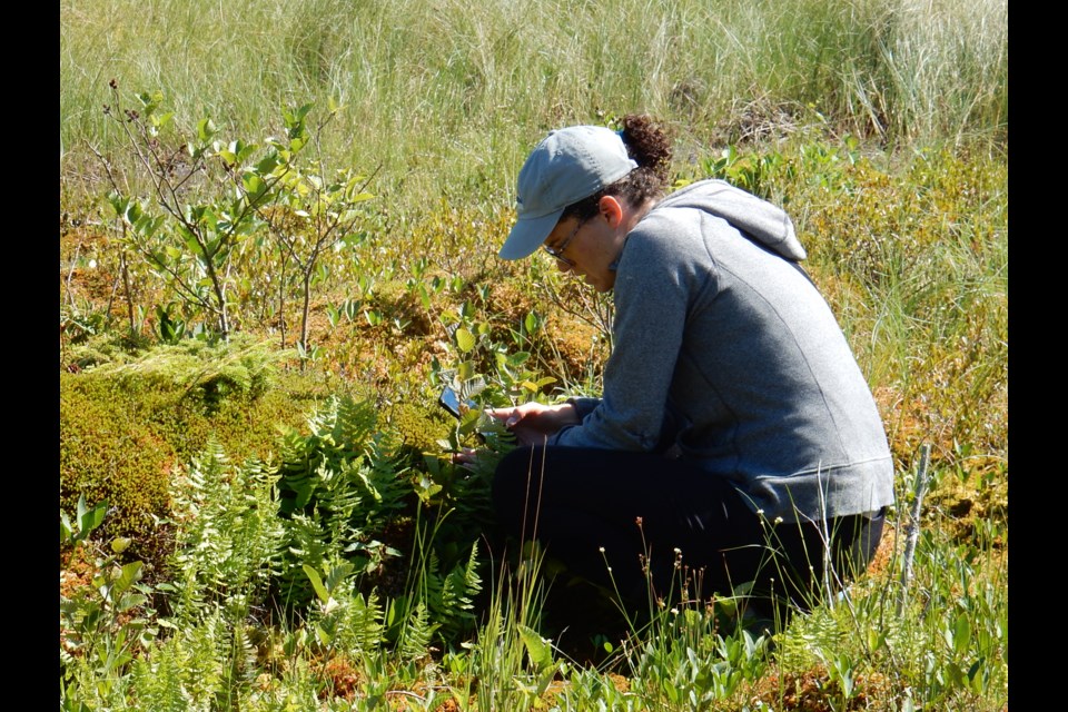 Participants in the Ocean Bridge Direct Action program catalogued hundreds of species on Porphyry Island over the summer. (Photo courtesy Simon Boudreault)