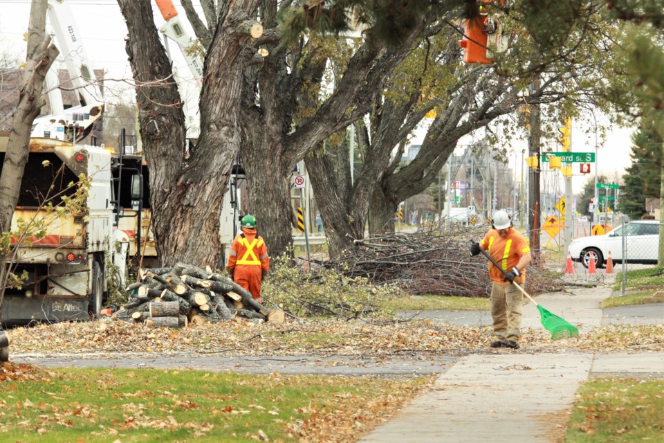 Walsh tree removal Hydro One 4