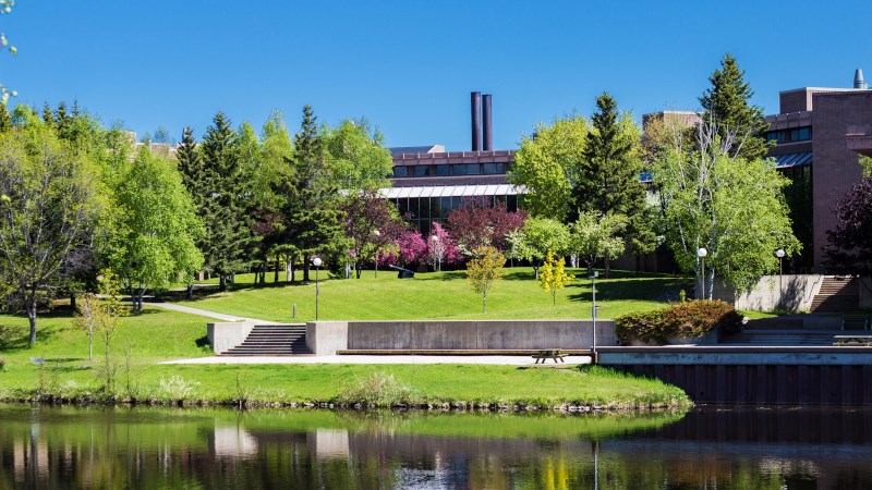 Lakehead University Lake Tamblyn Bloom