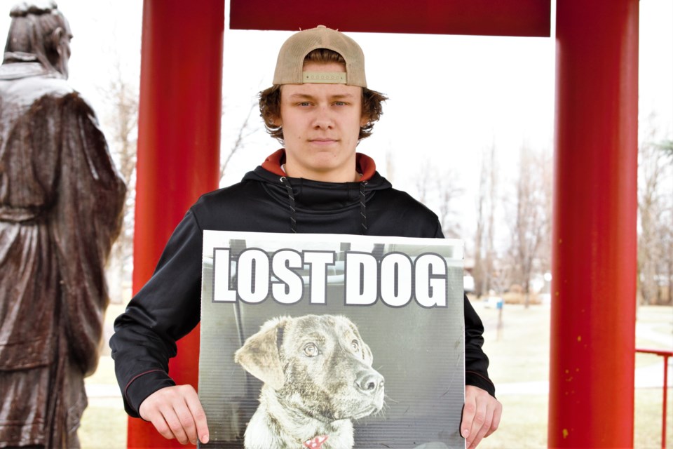 Jordan Carroll Finding Tucker lost dog