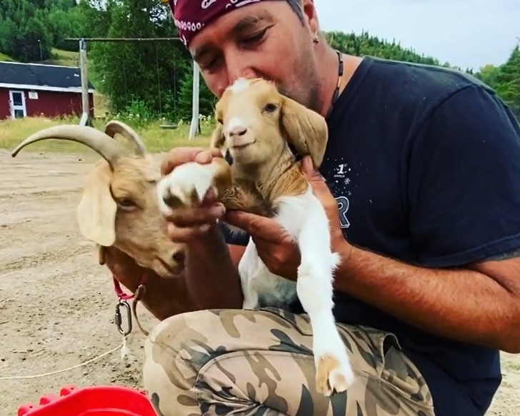 Griffon the goat