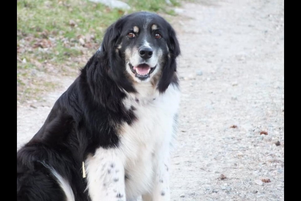 Maya
