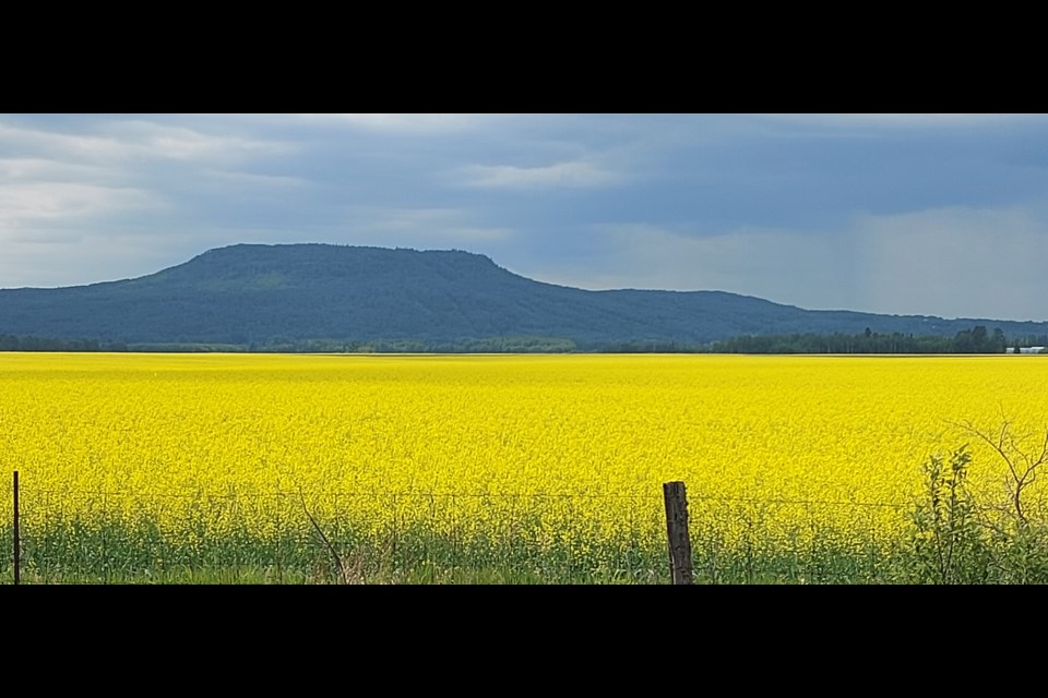 Photo by Barb Casson
