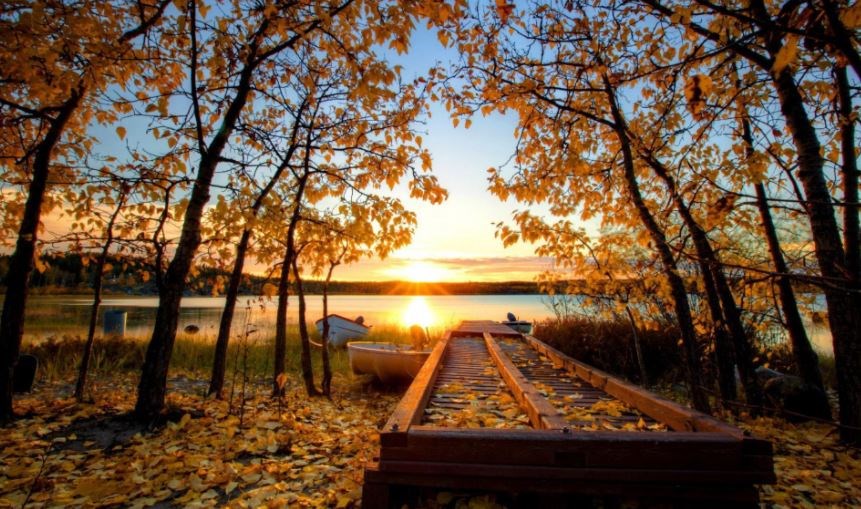 Autumn