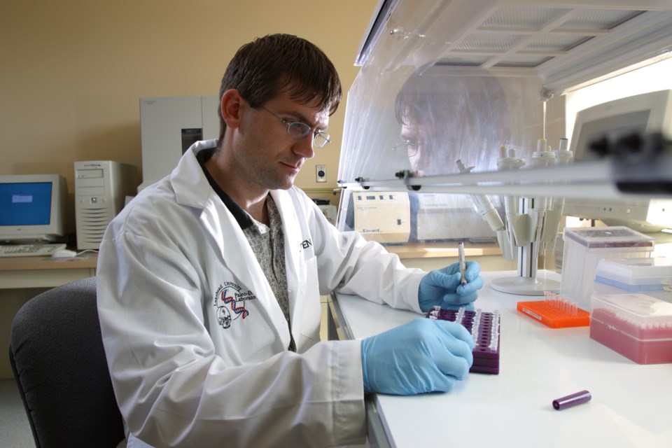 Stephen Fratpietro is the technical manager at Lakehead University's Paleo-DNA lab (LU photo)