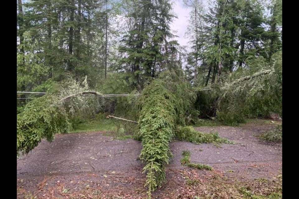 Thousands of Hydro One customers were affected by power outages resulting from trees falling on lines (submitted photo)