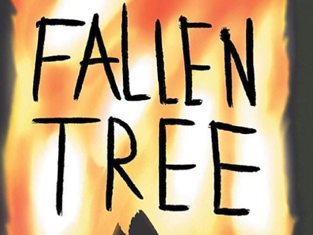 Fallen Tree