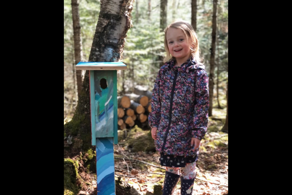 Students at Woodcrest and Ecole Gron Morgan public schools assembled Eastern Bluebird nesting boxes under supervision (Lakehead Public Schools photo)