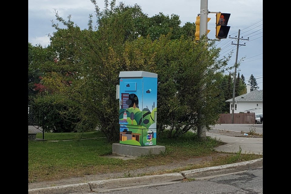 A traffic signal control box at High Street and River Street is one of a dozen boxes around the city that have been wrapped in vinyl featuring the work of local artists. (TBnewswatch)