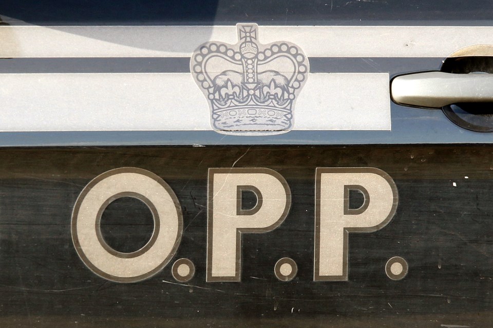 OPP Logo 2