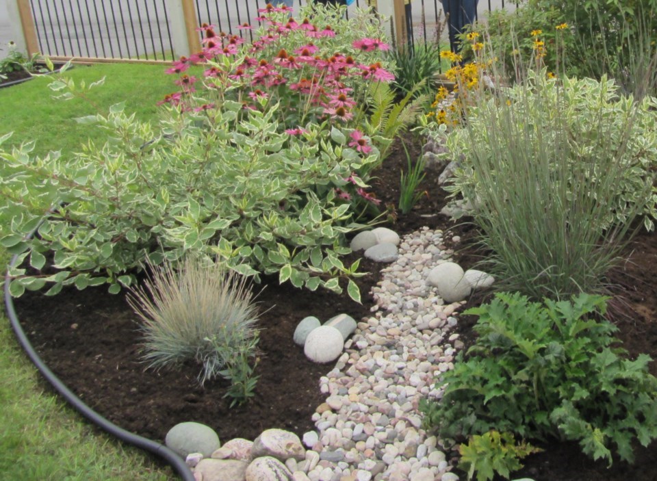 Rain garden