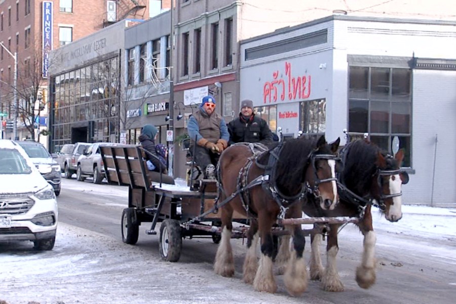 carriage-rides