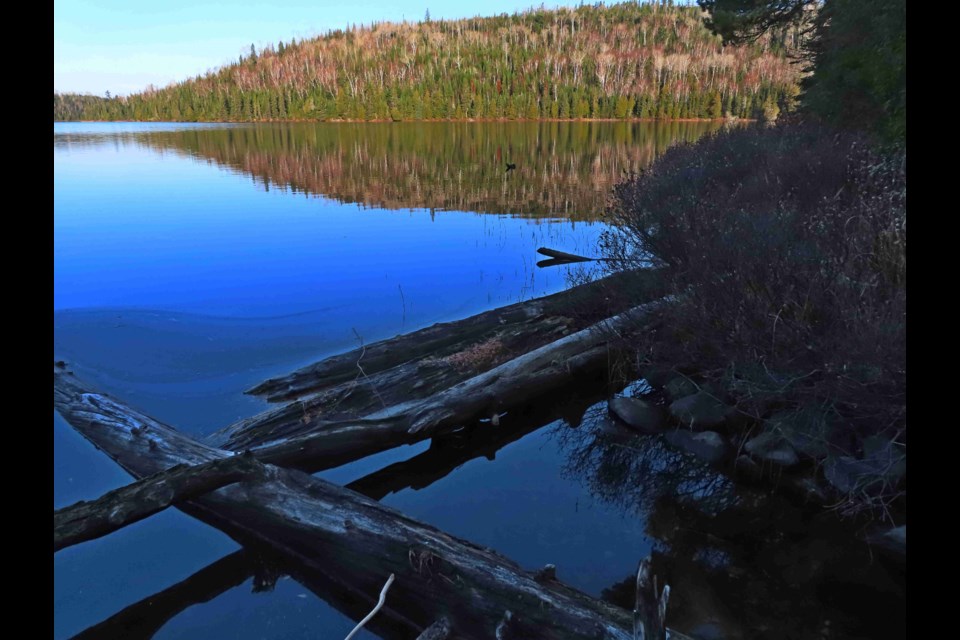 The Ward Lake Nature Reserve includes two lakes, a creek,dramatic cliffs, jack pine, white pine, red maple and sugar maple trees (TBFN photos)