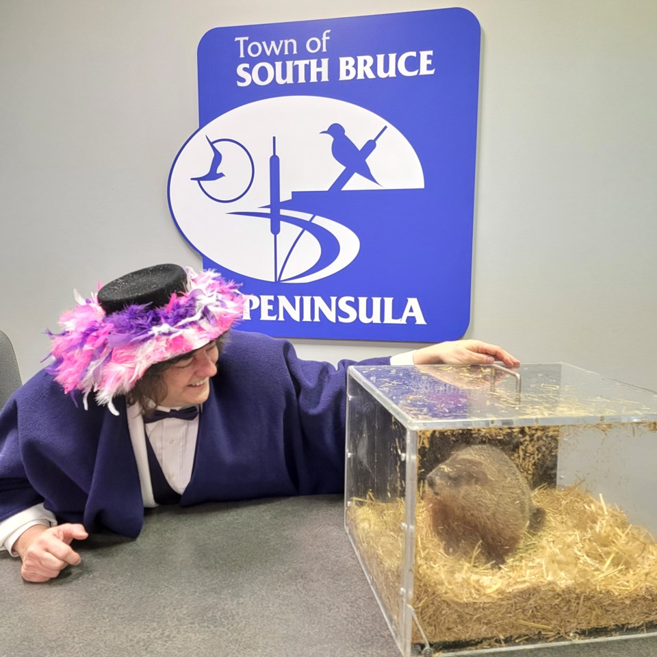 Wiarton Willie
