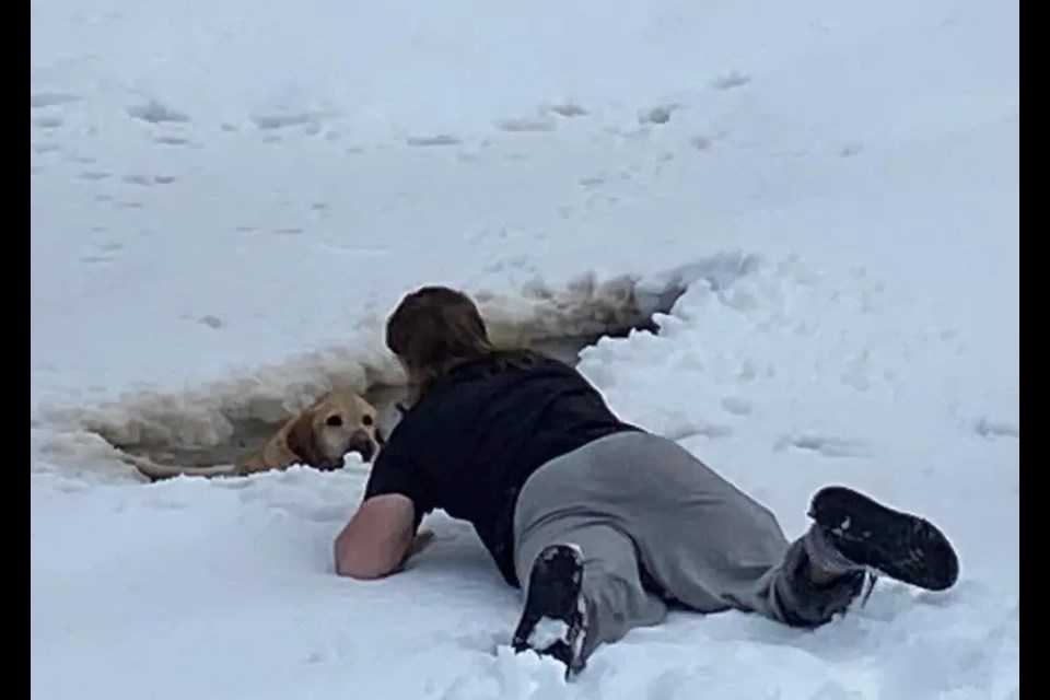 Sean Bouttell is pictured rescuing a dog that fell through the ice on the Neebing River on Mar. 25, 2022 (submitted photo)