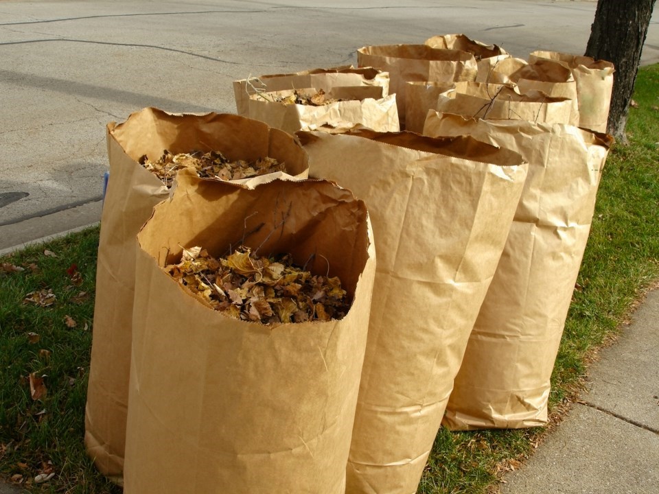 yard-waste-bags