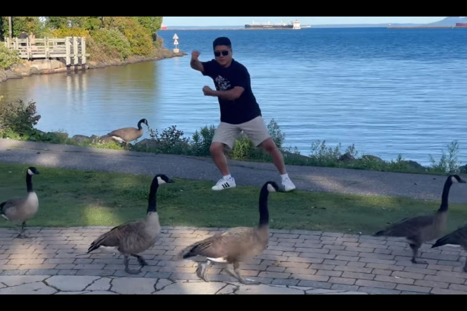 Canada geese seemed to follow tai chi master Peng You's instructions while he was holding a class at Marina Park on Tuesday evening (Peng You/Facebook)