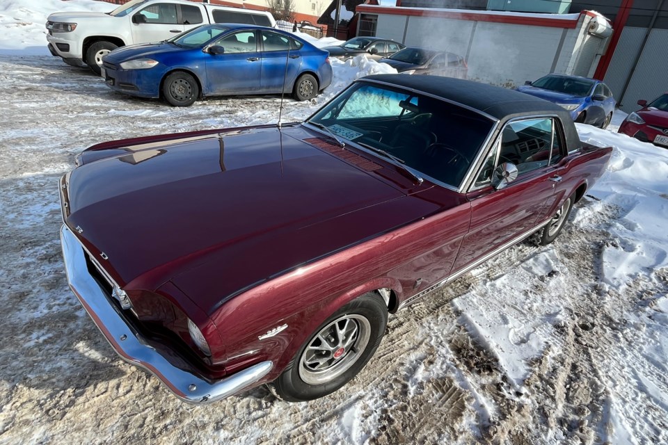 This 1966 Ford Mustang GT will be up for grabs in the Thunder Bay Museum Historical Society's Classic Car Raffle. The draw takes place on Aug. 12, 2023. (Leith Dunick, tbnewswatch.com)
