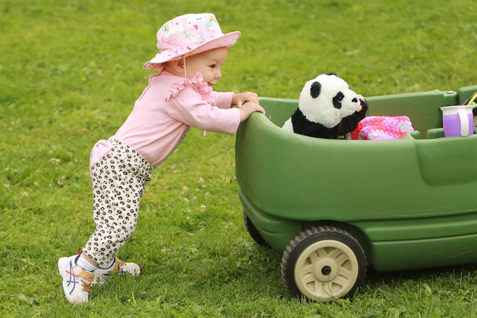 Eleven-month-old Marguerite Veneruzzo pushes her stuffed panda in the back of a wagon at the Teddy Bear's Picnic on Tuesday, July 11, 2023. (Leith Dunick, tbnewswatch.com)