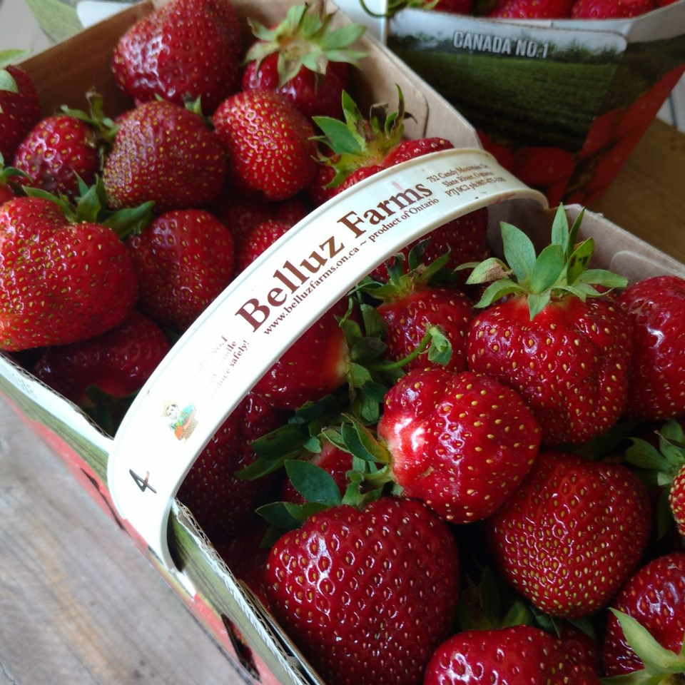 belluz-farm-strawberries