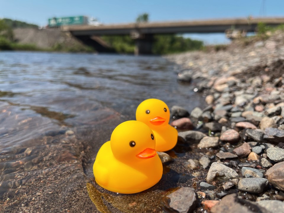our-kids-count-duck-race
