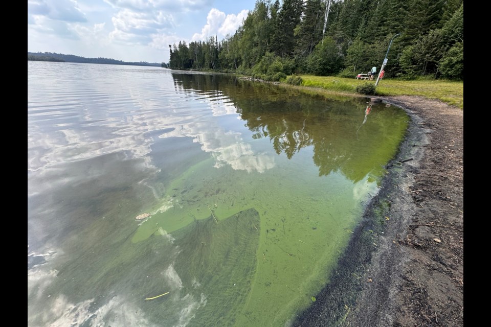 A suspected blue-green algae bloom was discovered at the Hazelwood Lake Conservation Area's main beach (LRCA/Facebook)
