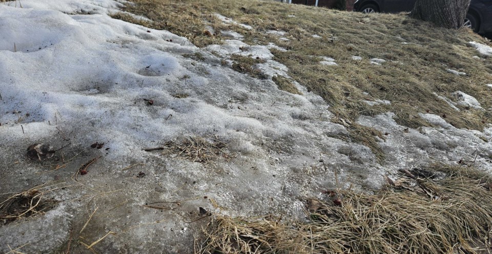 snow-grass-winter-feb-2024
