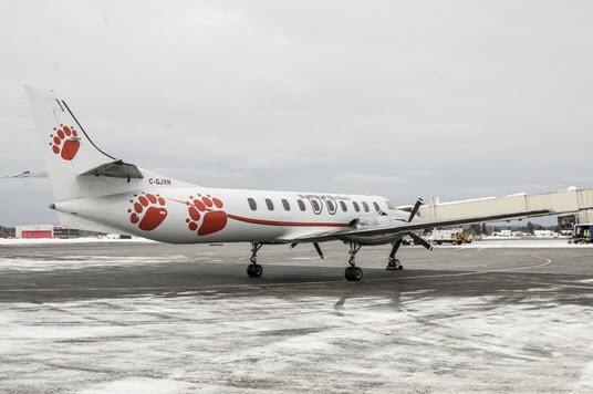 bearskin-airline-plane