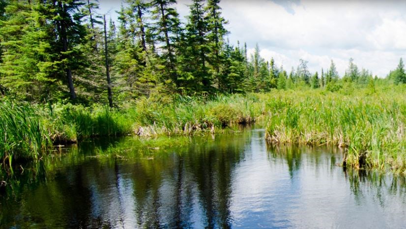 The Mills Block Conservation Area is located on John Street Road at Community Hall Road. (LRCA photo)