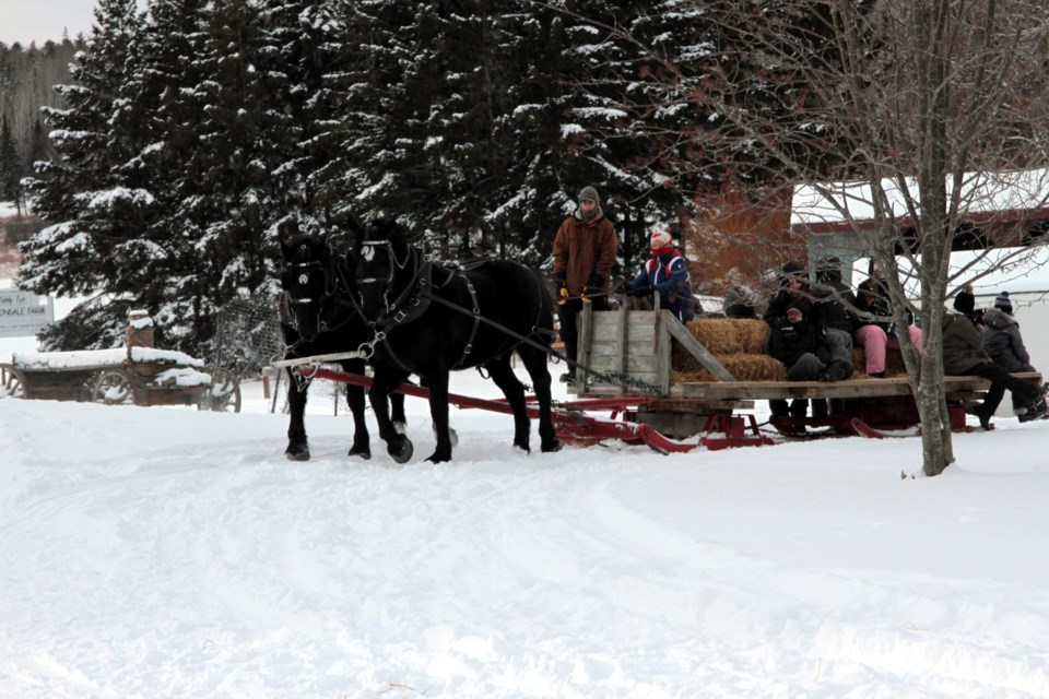 sleigh-rides-1