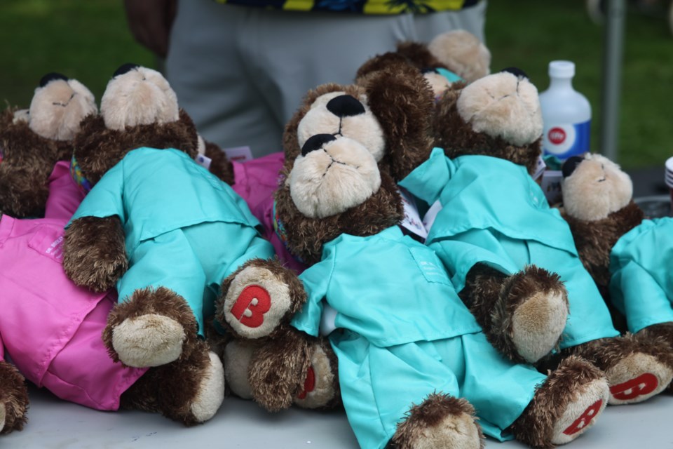 Teddy Bears Picnic at Vickers Park in 2024