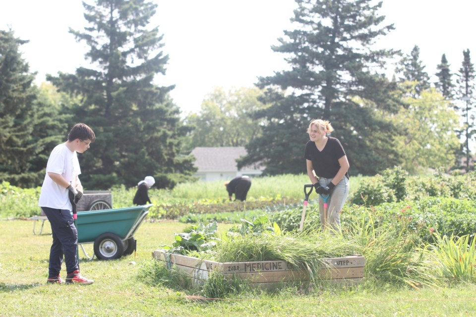 Students work with Roots to Harvest through their Urban Youth Farming Program during the summer. 
