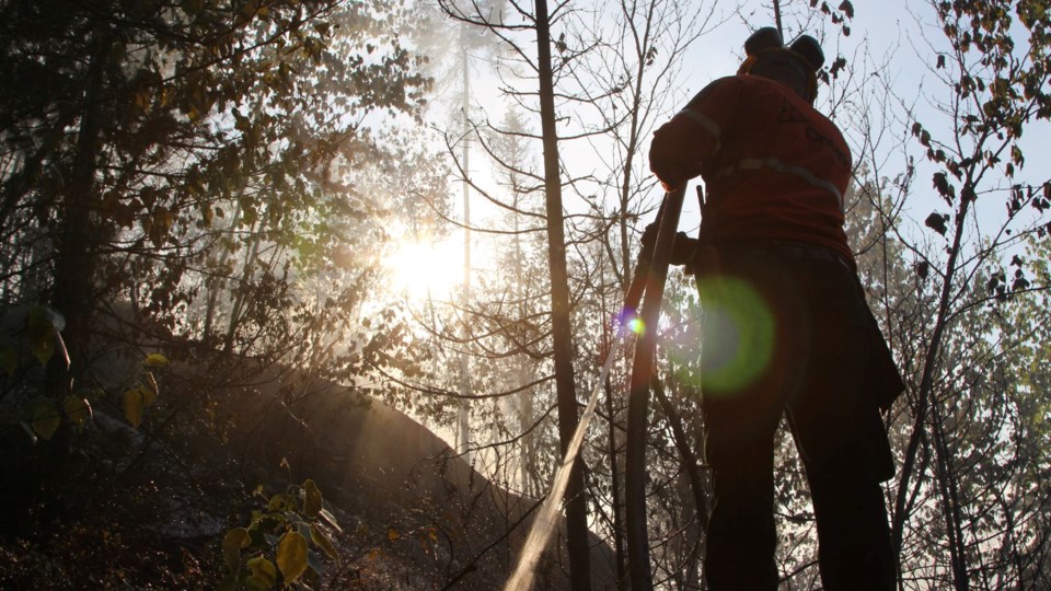 forest-firefighter