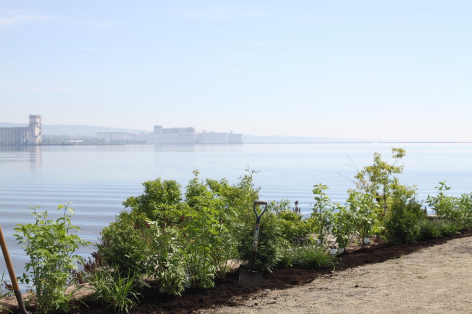 The Lakehead Region Conservation Authority, City of Thunder Bay, members from the Ministry of Natural Resources, summer students from RAP and members of their public advisory committee attended the restoration on Monday.