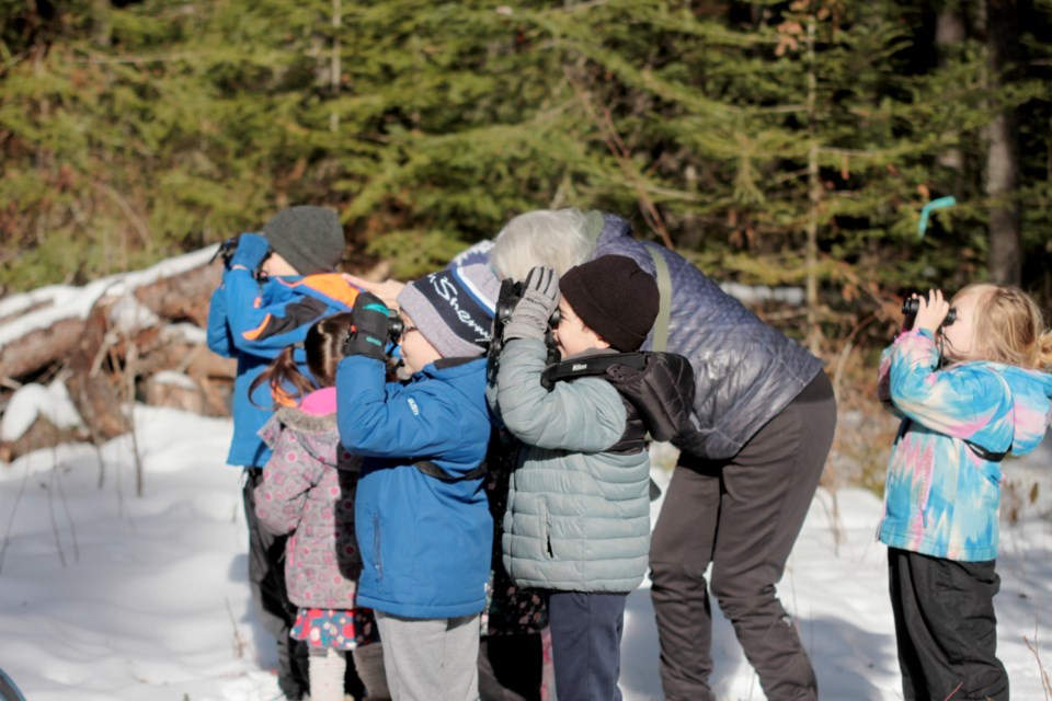 young-birders