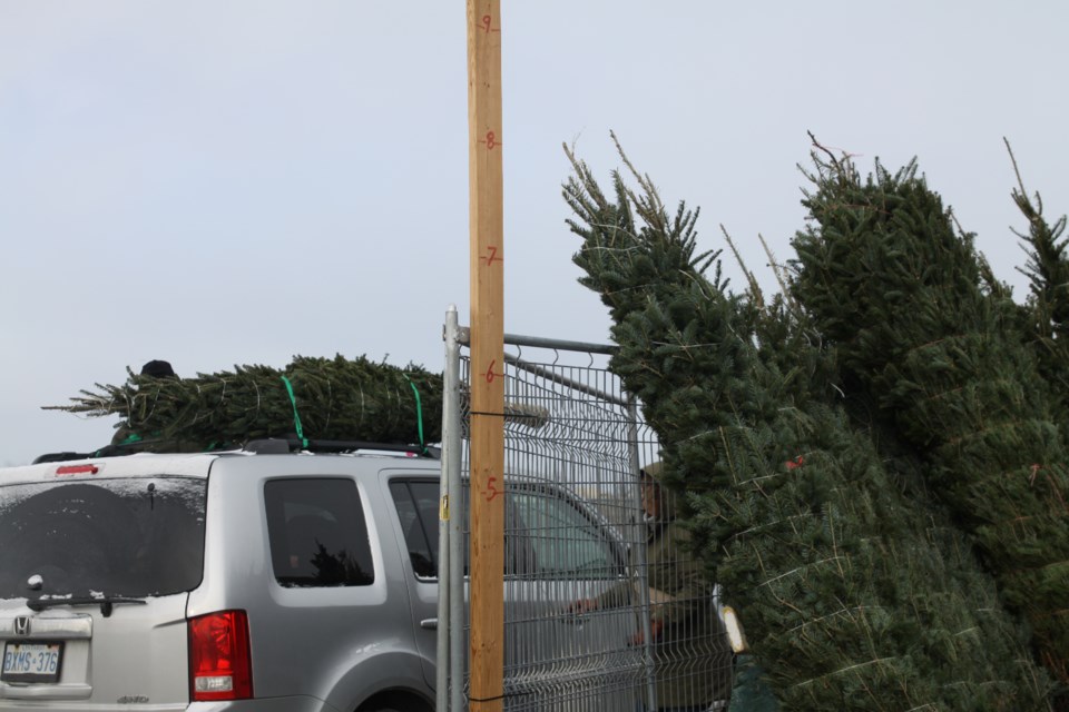 The Kiwanis Club of Westfort will be selling trees starting on Saturday, until they sell out