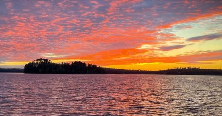 quetico-ring