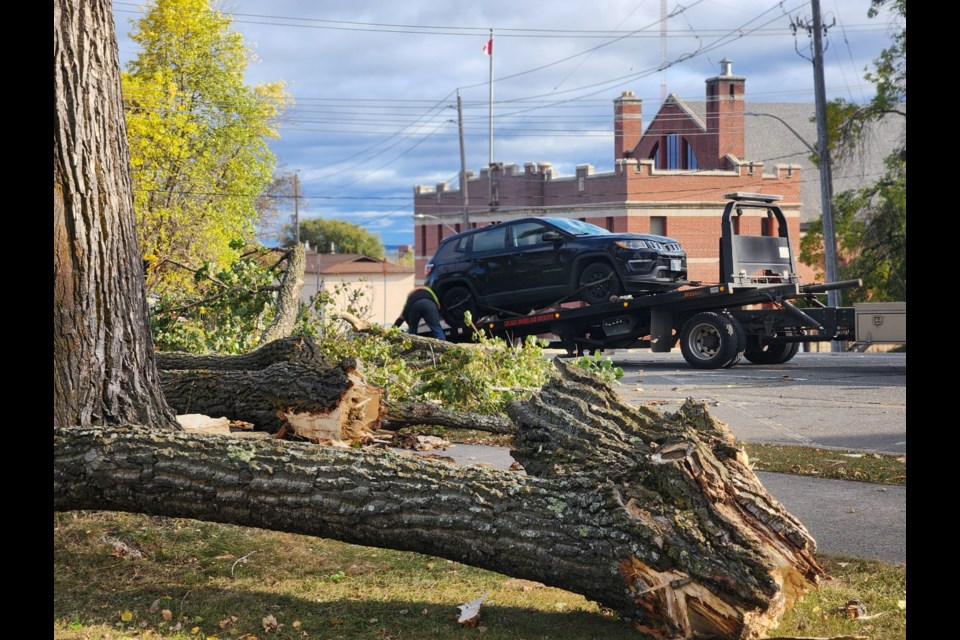 Strong winds knocked down large branches in Waverley Park on Oct. 6, breaking the windshield on a vehicle that had to be towed away.  (TBnewswatch)