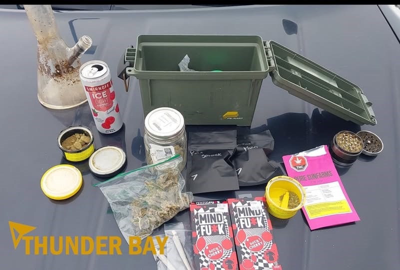cannabis-seizure